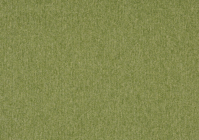 Flynn, Cactus - Fabric Only - Image 3